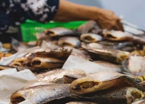 The Symptoms of Different Types of Fish Poisoning