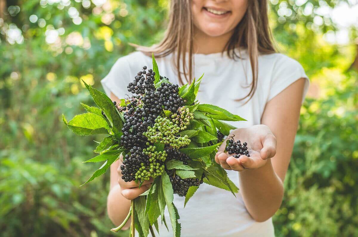 A girl picking berries.