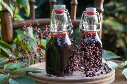 Elderberry Syrup: Benefits, Precautions, and Preparation