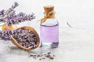 The 6 Best Medicinal Plants with Scientific Proof