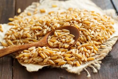 What are the Properties and Benefits of Kamut?