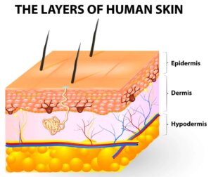 Transdermal Patches: Characteristics and Uses - Step To Health