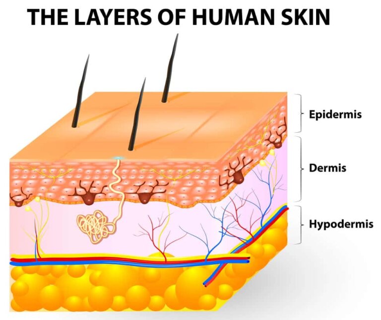 transdermal-patches-characteristics-and-uses-step-to-health