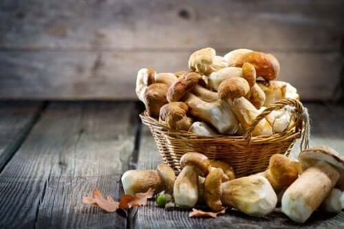 Mushrooms.