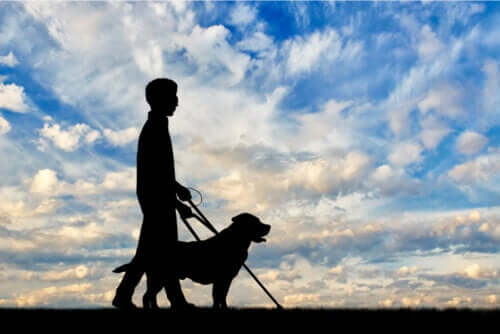 Everything You Need to Know about Visual Impairment