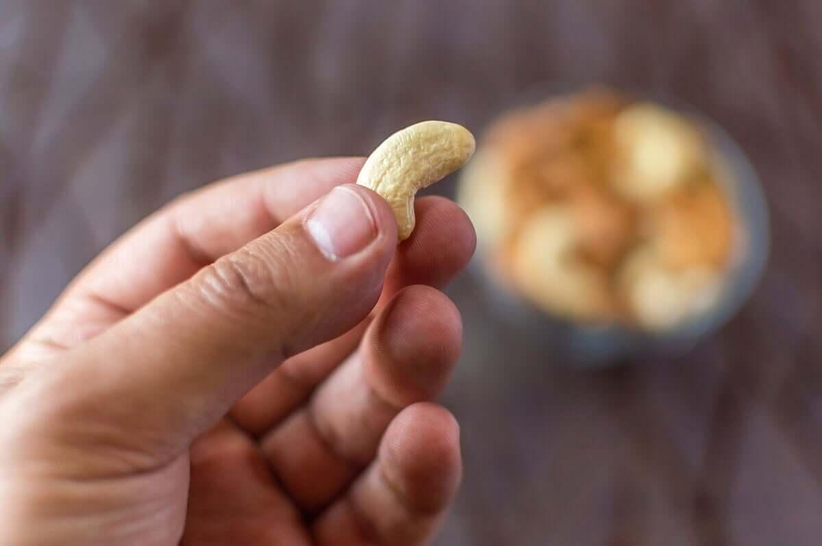 A hand holding a cashew.