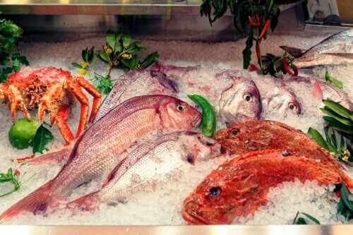 The Effects of Mercury in Fish