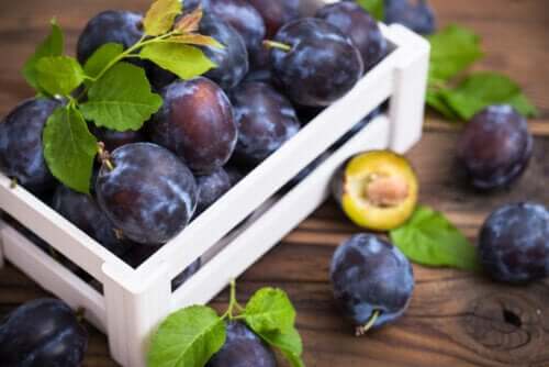 Discover the Different Types and Varieties of Plums