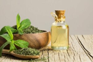 Peppermint Oil Against Irritable Bowel Syndrome