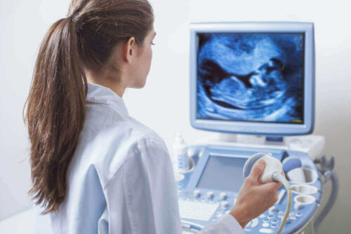 A technician looking at a sonogram in order to perform a delayed abortion.