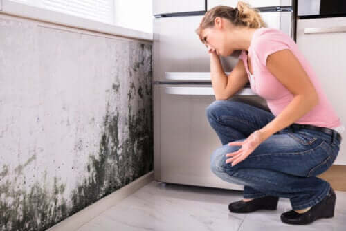 Can Mold in the House Lead to Health Problems?