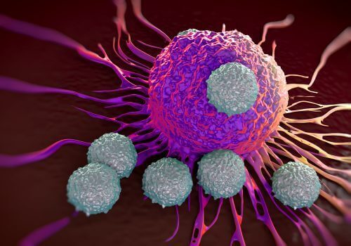 Antibodies attacking an antigen.
