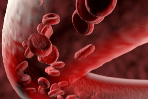 Enlarged view of red blood platelets.
