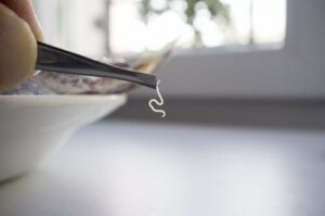 Discover the Most Common Food Parasites