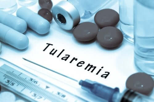 The Causes and Symptoms of Tularemia, or Rabbit Fever