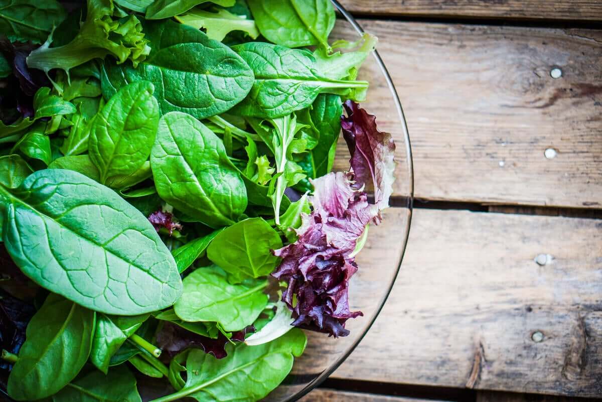 A bowl of green and purple salad leaves.