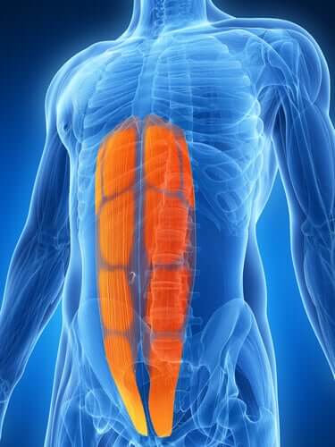 What Is Abdominal Strain?