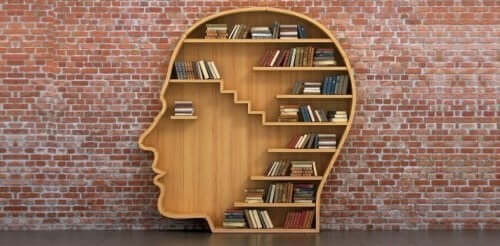 A bookshelf in the form of a head.