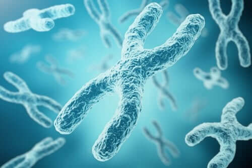 A digital image of chromosomes.