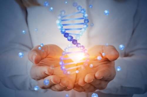 The Human Genome Project