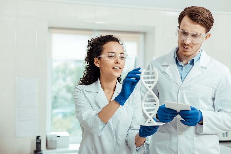 Forskere undersøger DNA