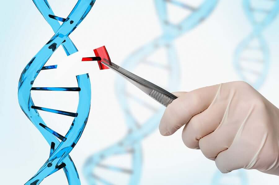 A technician replacing a piece of DNA on a plastic model.