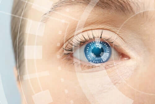 A close up of an eye.