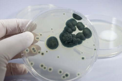 Symptoms and Causes of Penicillin Allergy