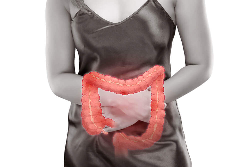 Egestion and excretion.