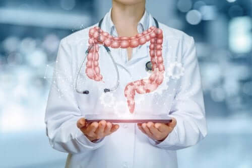 What Is the Egestion Process?