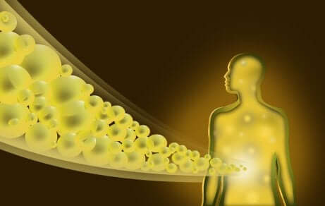 Higher levels of bilirubin entering the body.