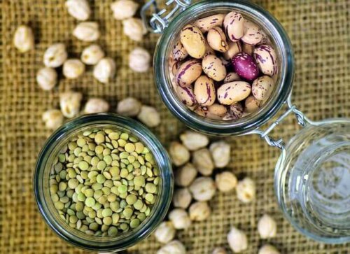 Three kinds of dry seeds for a high-protein diet.