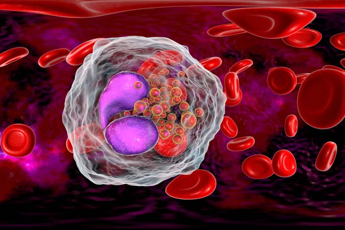 Immune response.