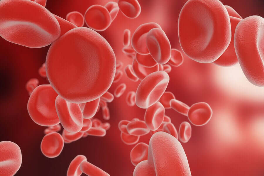 A digital image of red blood cells.