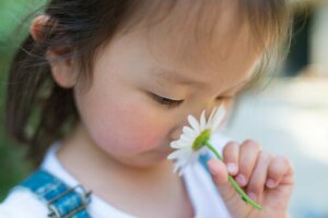 Hyperosmia: Oversensitivity to Odors