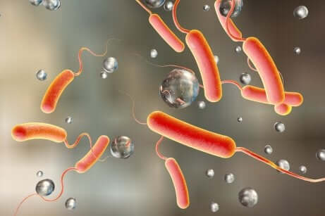 Cholera virus.