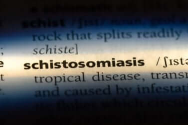 Schistosomiasis eller sneglefeber