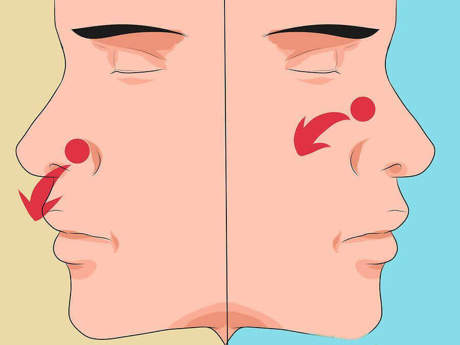 The human nose.