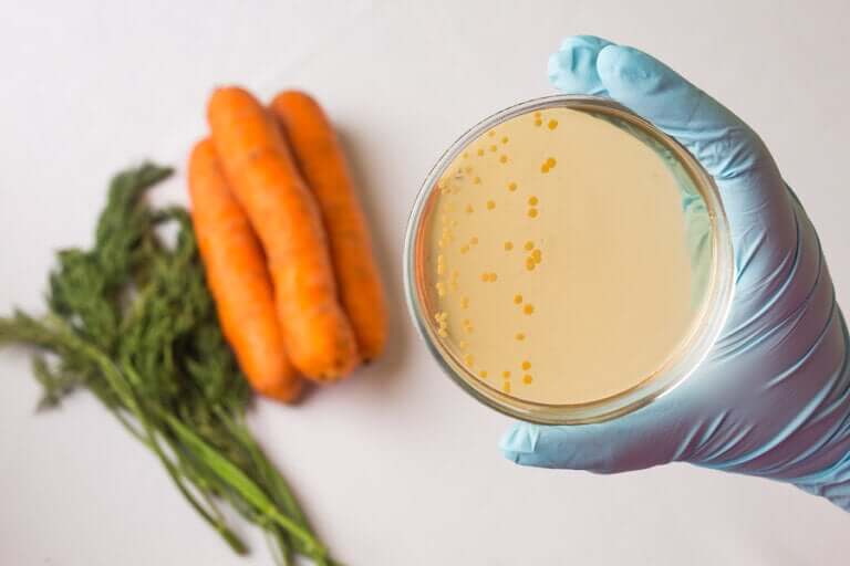 What is Food Safety?