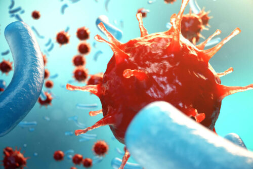 Hvide blodlegemer bekæmper virus