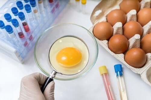 Tips for the Prevention of Salmonellosis