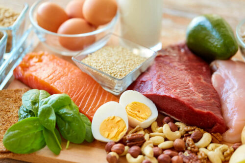 Kohlenhydratarme Diät: - Fleisch, Fisch und Eier