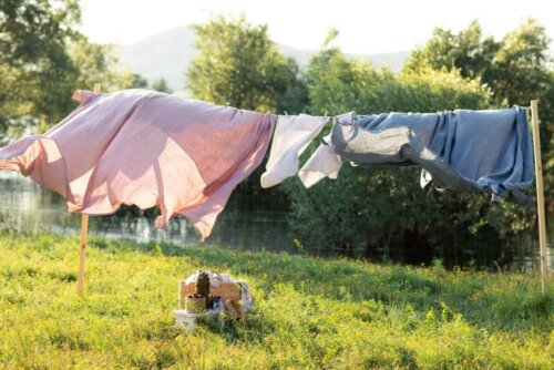 A clothesline in a field.