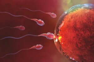 How Long does It Take to Get Pregnant After Sex?