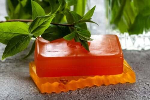 Uses, Properties, and Contraindications of Papaya Soap