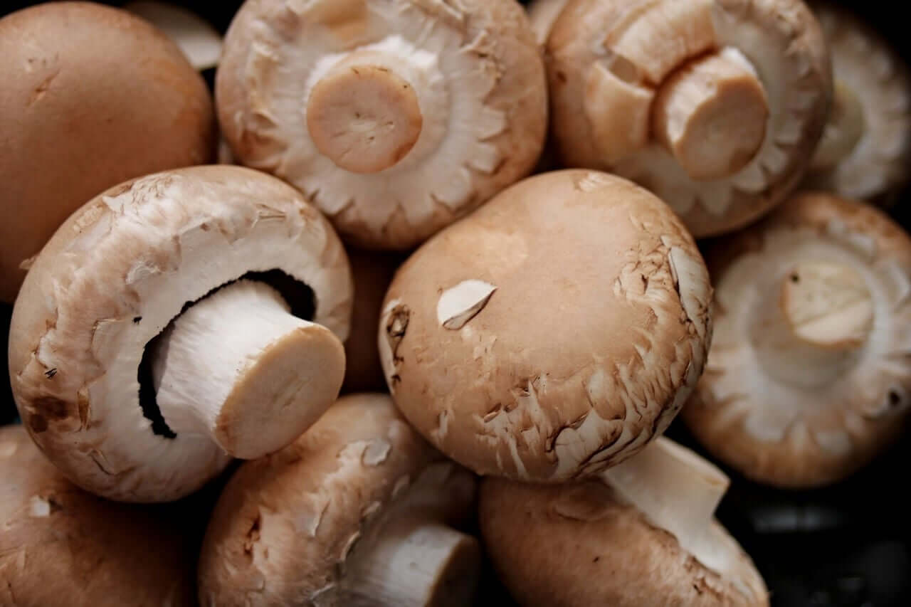 A pile of mushrooms.