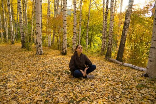 A woman meditating in the woods.