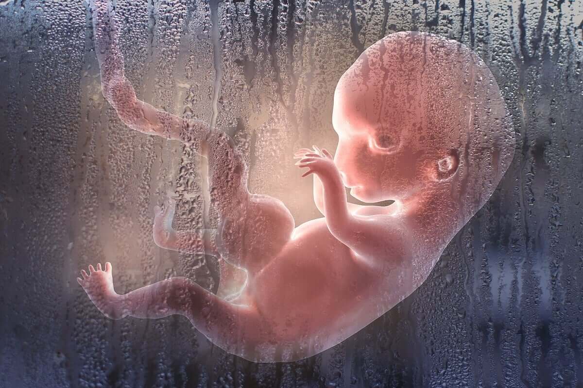 A digital representation of an unborn fetus floating in amniotic fluid.