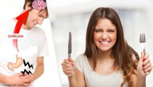 Ghrelin Functions and Mechanism of Action