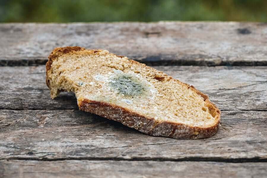 A slice of moldy bread.